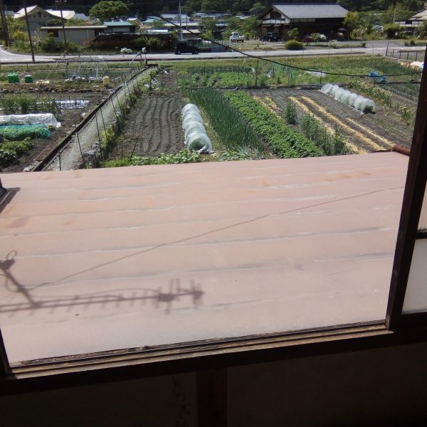 外観／蔵　2017.05.16