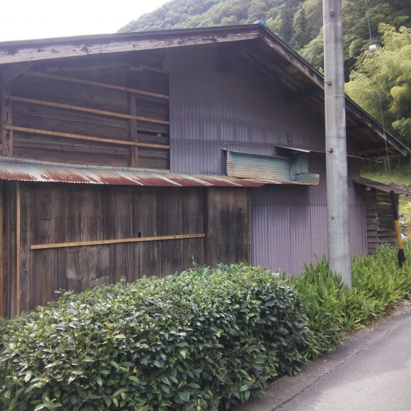 外観／右壁　2017.06.22