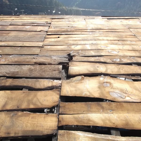 外観／屋根　2018.11.02