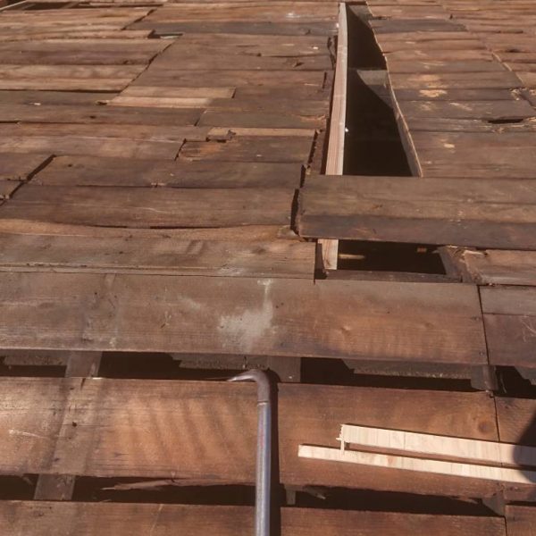 外観／屋根　2018.11.02